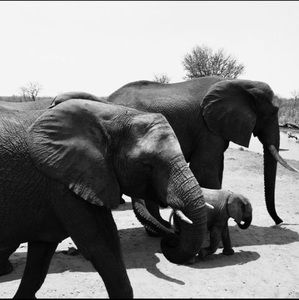 Meet your Posher, Geraldine